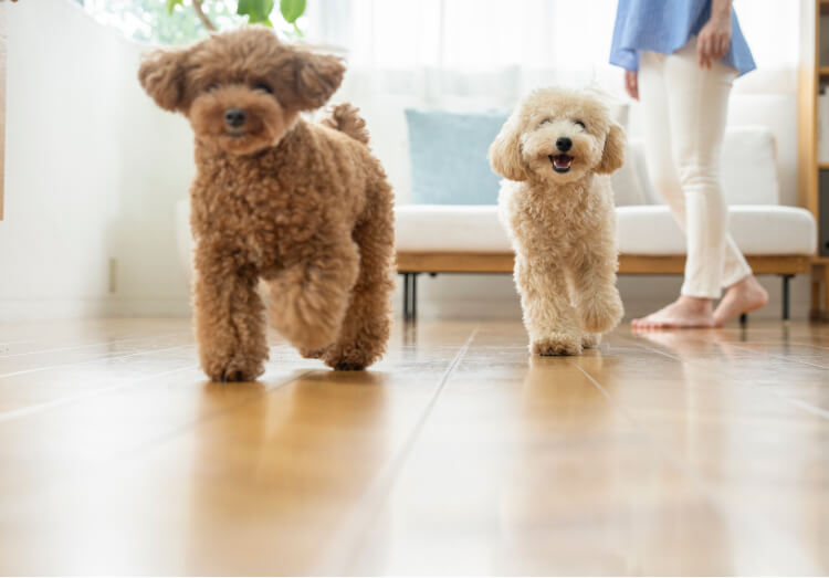 低臭・短時間施工